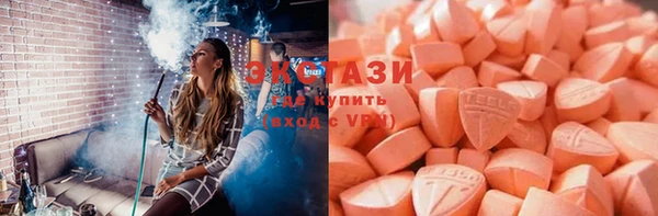 индика Карпинск