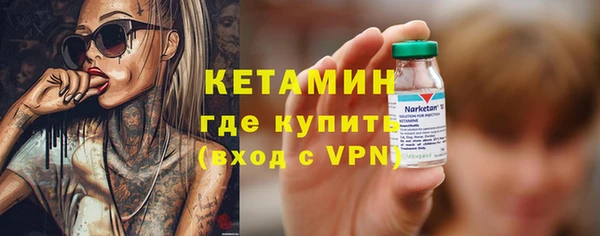 индика Карпинск