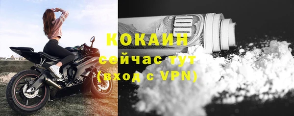 индика Карпинск
