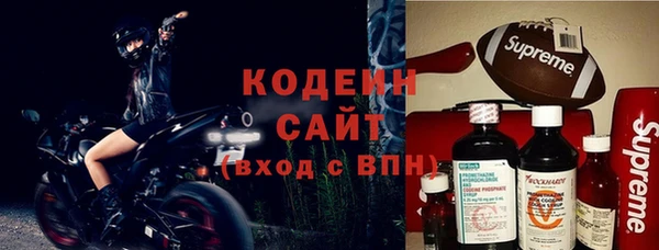 кокс Касимов