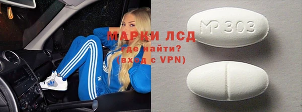индика Карпинск