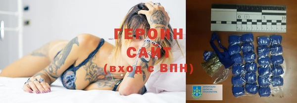 индика Карпинск