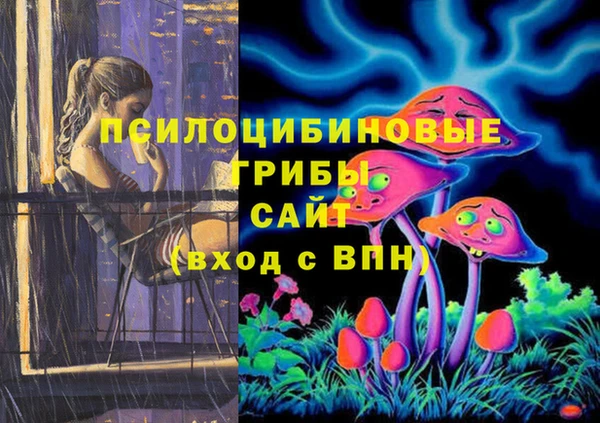 кокс Касимов