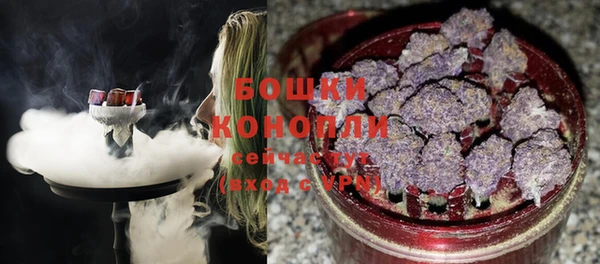 кокс Касимов
