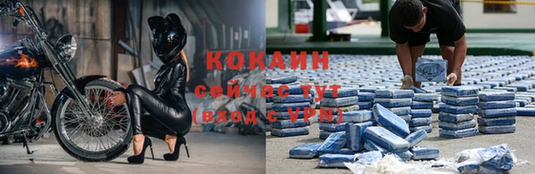 индика Карпинск