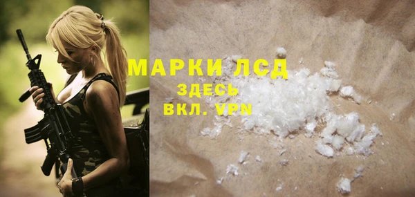индика Карпинск