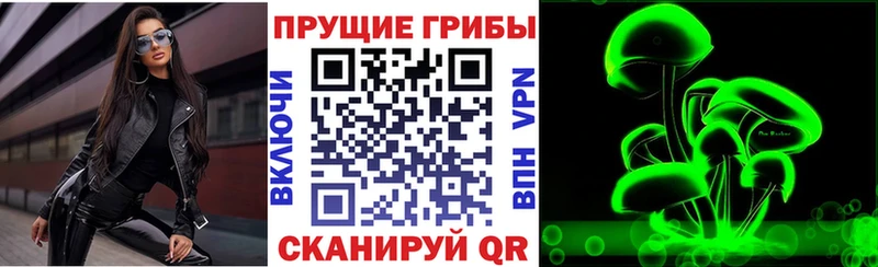 Псилоцибиновые грибы Psilocybine cubensis  купить наркотик  Кирово-Чепецк 